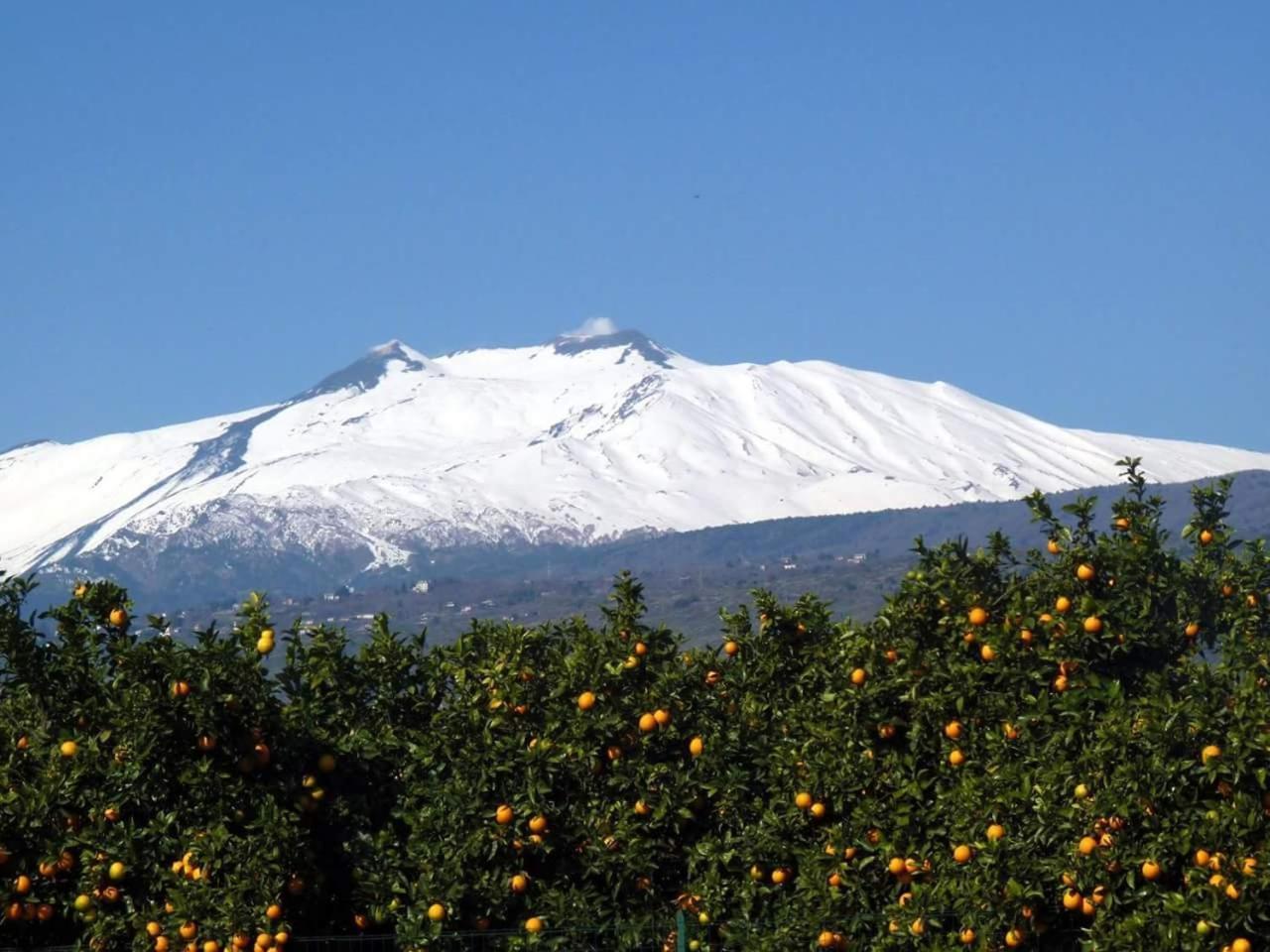 Piedimonte Mare Etna Fiumefreddo di Sicilia Quarto foto